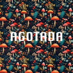 1216-tela-setas-magicas